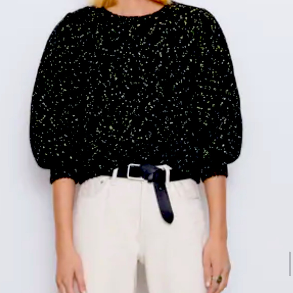 Zara Metallic Sweater